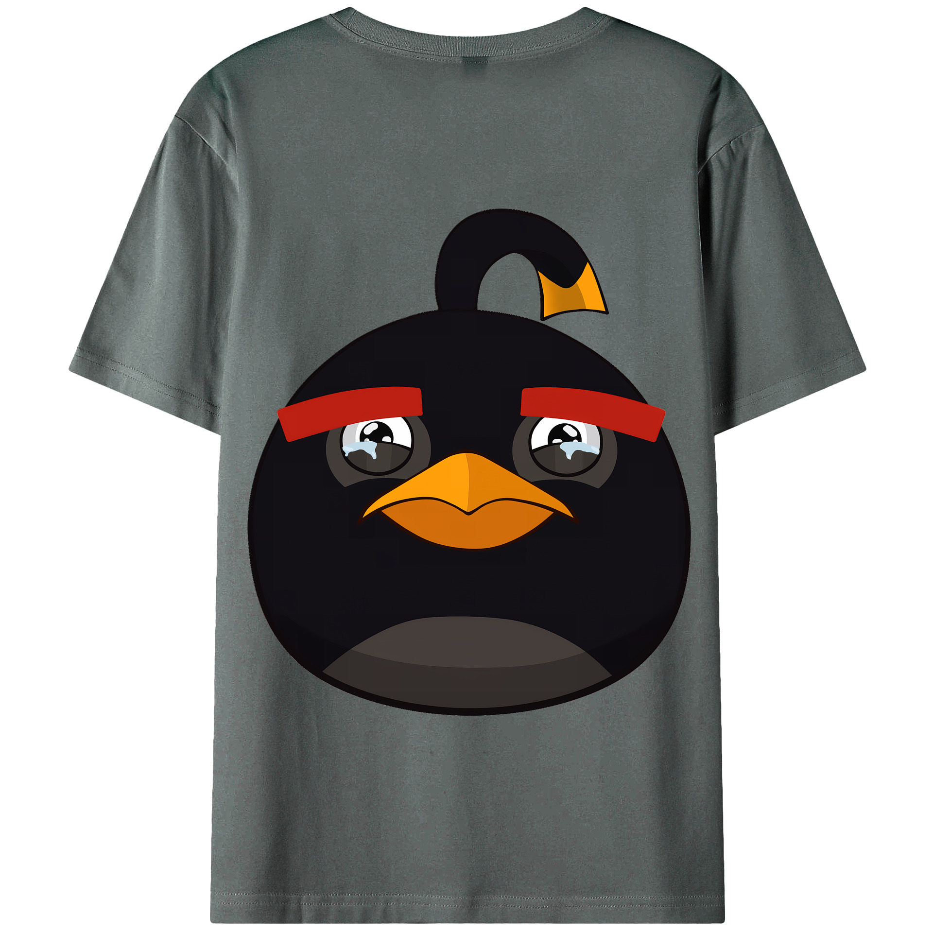 （画像用） Angry Birds アングリーバード 綿100％半袖Tシャツ（背面プリント）